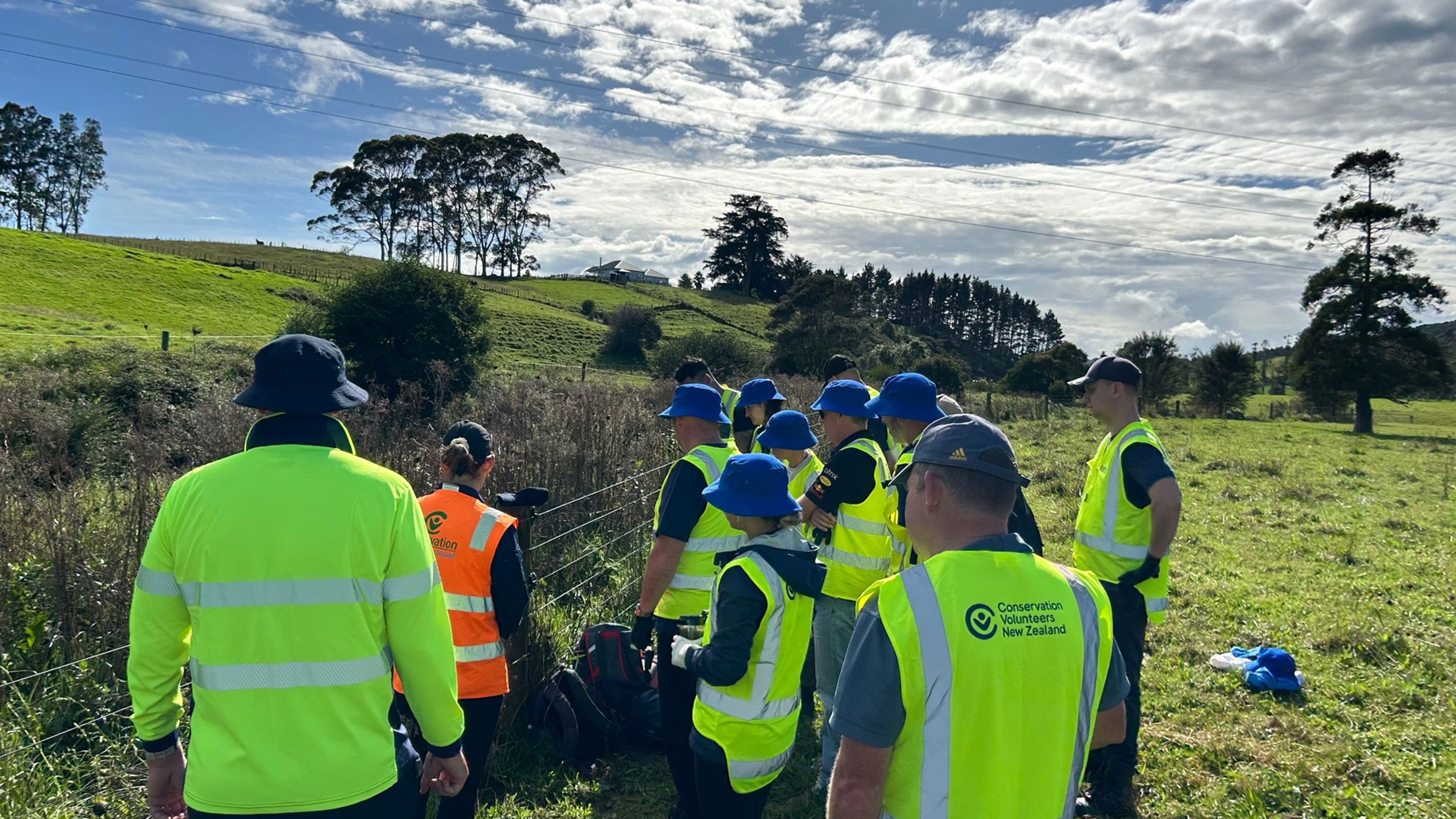 Mobil team joins Conservation Volunteers New Zealand tree rescue effort