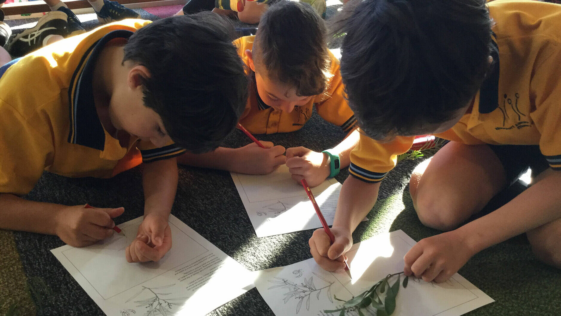 Image Photo — Students from Newport Lakes Primary School take part in the program.