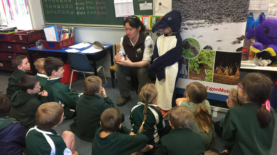 Image Photo Students at Rosedale Primary School take part in the Chirpy Chicks program.